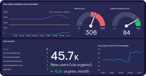 Organic traffic growth chart
